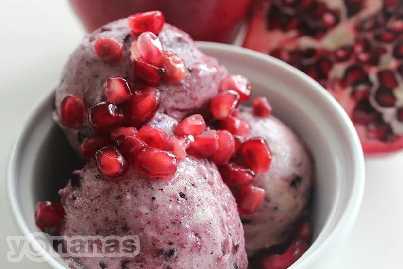 Blueberry Pomegranate Yonanas