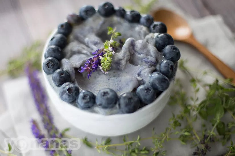 Blue Matcha Yonanas