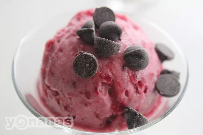 Chocolate Raspberry Yonanas