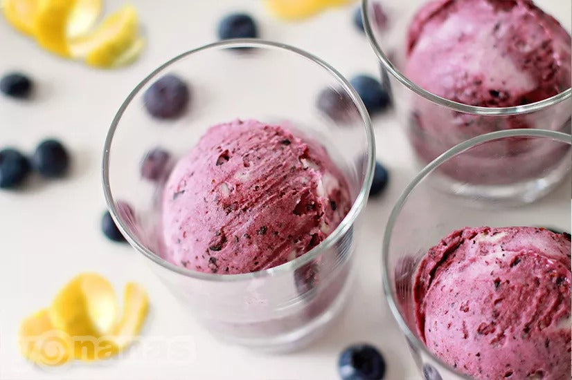 Lemon Blueberry Yonanas