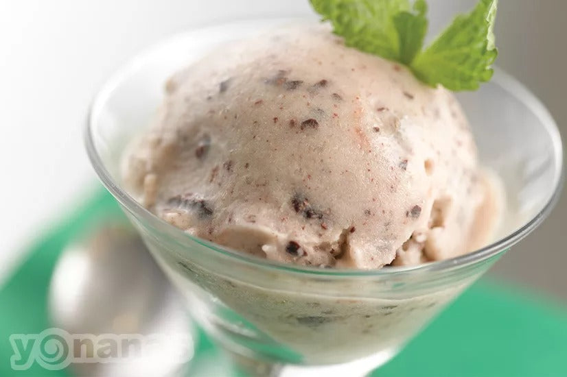 Mint Chocolate Chip Yonanas