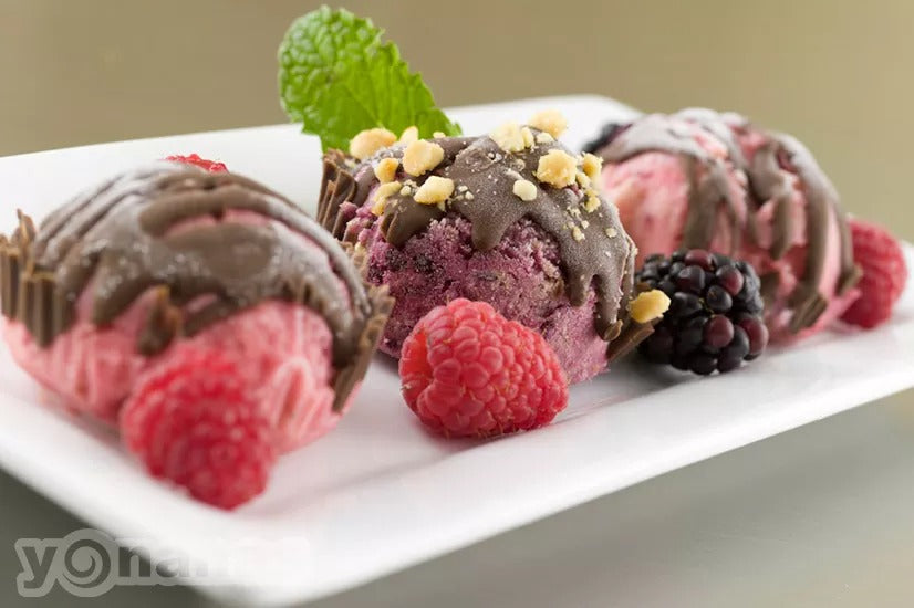 PB&amp;J Yonanas Bonbons