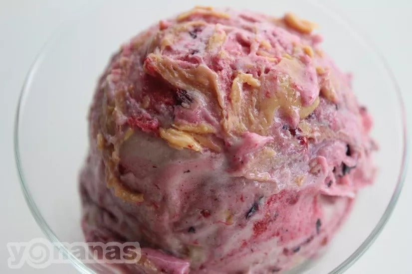 Peanut Butter & Jelly Yonanas