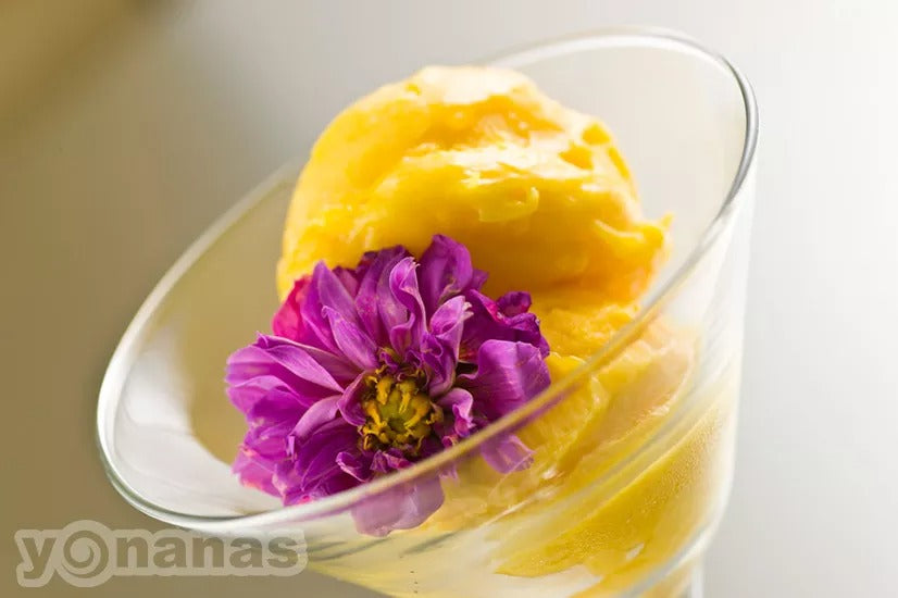 Tropical Sorbet – Yonanas