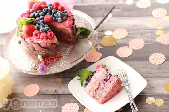 5 Layer Yonanas Cake