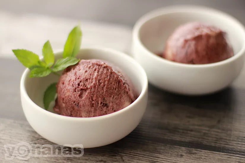 Yonanas Classic Vegan Non-Dairy Frozen Fruit Soft-Serve Dessert Maker,  Includes 36 Recipes, 200 Watts