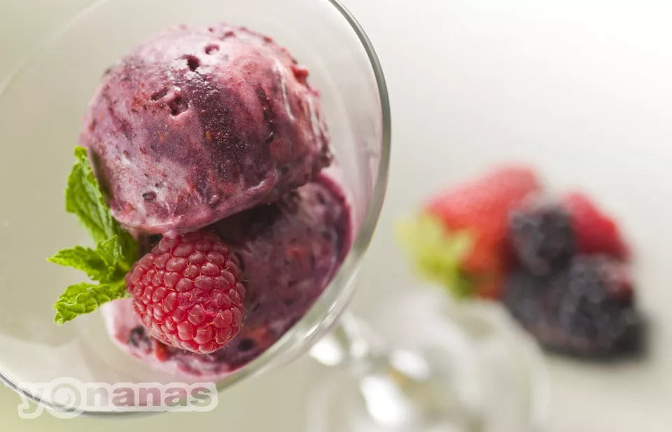 Yonanas Classic Vegan Non-Dairy Frozen Fruit Soft-Serve Dessert Maker,  Includes 36 Recipes, 200 Watts